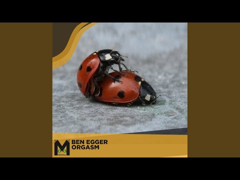 Image YouTube