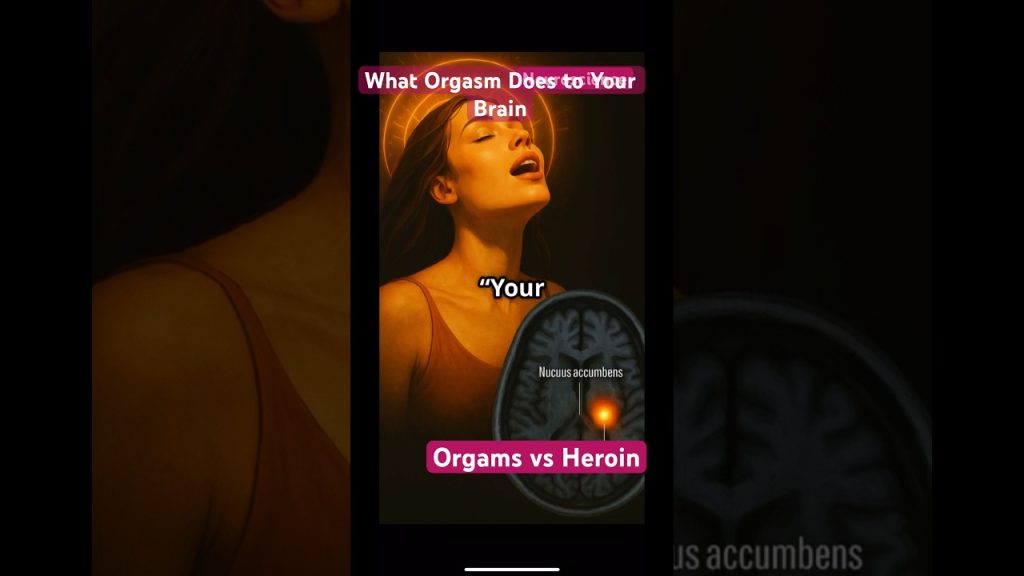 Orgasme vs héroïne: même effet cérébral? | Neuroplasticité expliquée