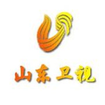 Profil DailyMotion de l’utilisateur 中国山东卫视官方频道 China Shandong TV Official Channel
