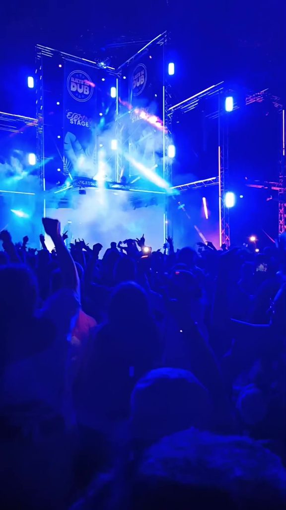 Merci Dub Festival pour ce festival magique