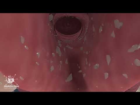 Image YouTube