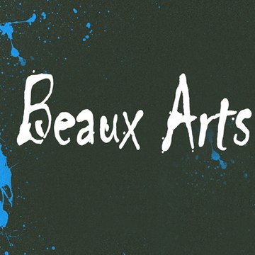 Profil DailyMotion de l’utilisateur Beaux Arts