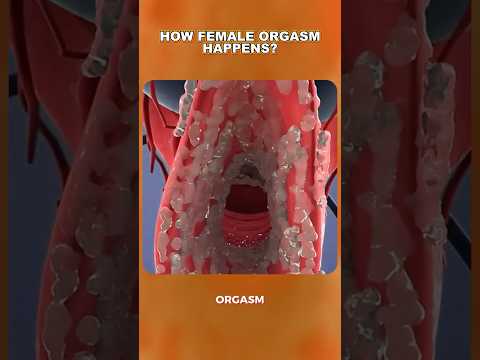 Image YouTube