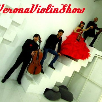 Profil DailyMotion de l’utilisateur Verona Violin Show
