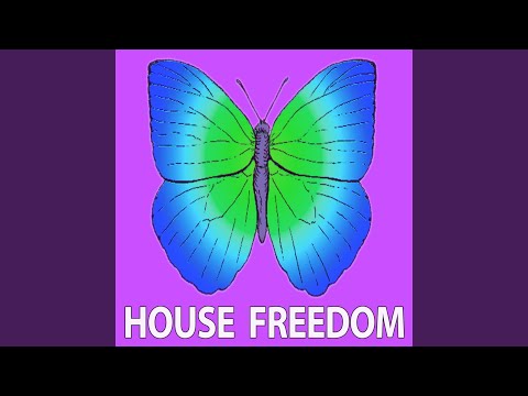 Image YouTube