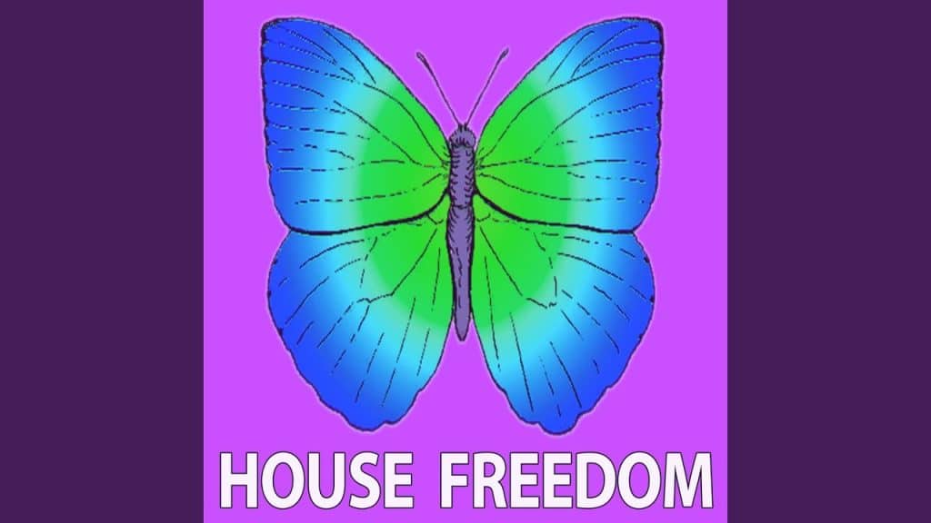 Youtube electro-orgasm: Orgasme (21 ROOM Dub Mix)