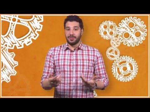 Vimeo Veja o porco que nasceu com 'testículos' no lugar dos olhos